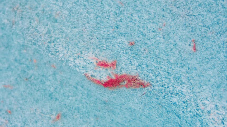 Flowing blue and red liquid