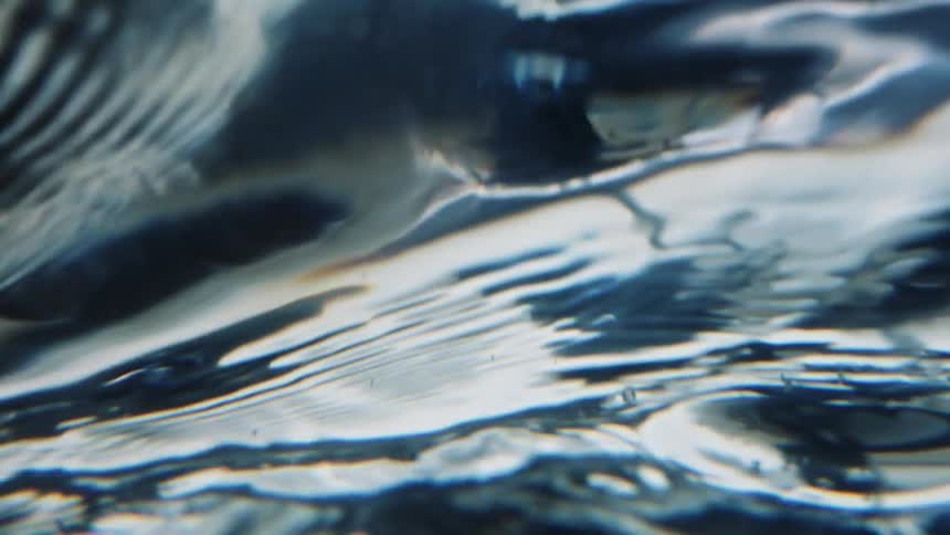 A view of a ripple in water