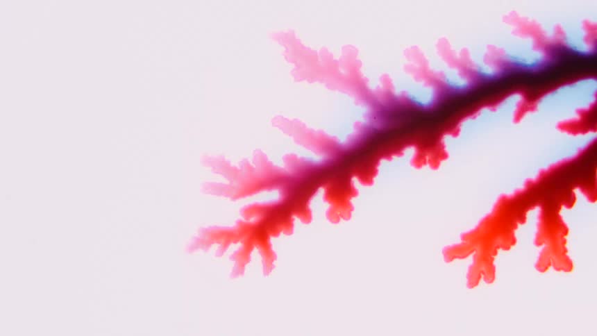 A red liquid moves to form a vein like shape