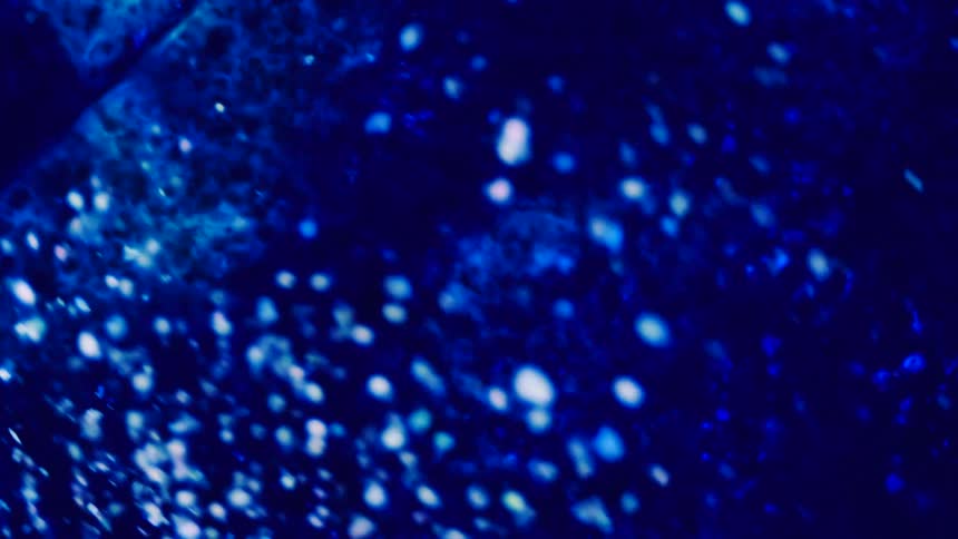 Flowing bubbly dark blue liquid