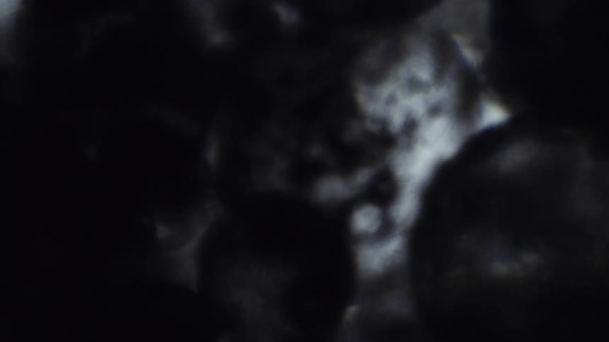 Liquid moves between spherical black shapes