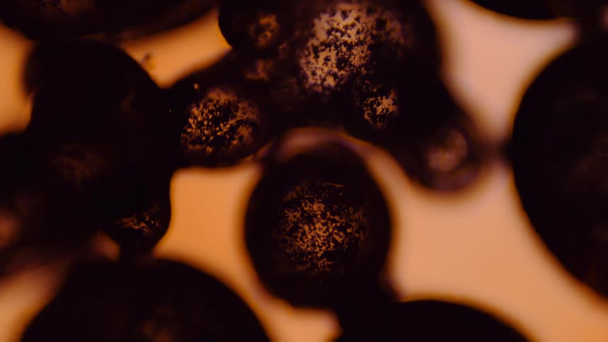 A microscopic view of black textured spots