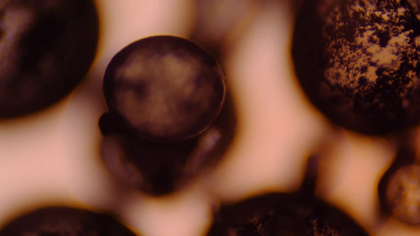 Close up of abstract dark tiny balls