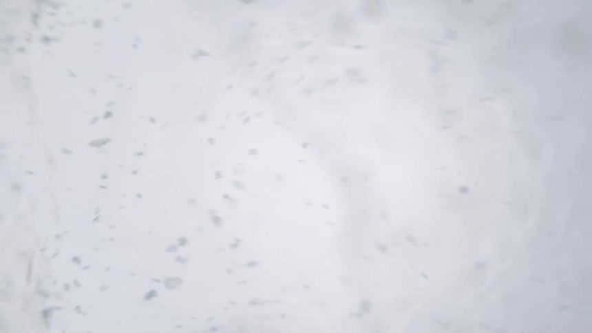 Gray particles float inside a translucent layer rippling as it moves over a white surface