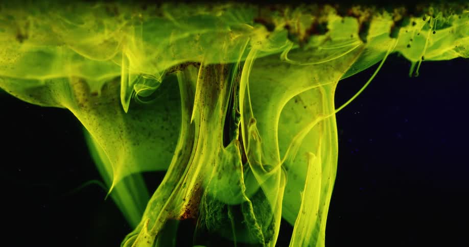 Filmy greenish yellow substance rises through fluid to spread across surface
