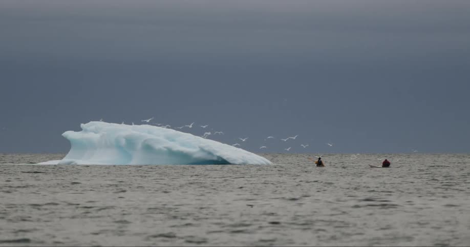 Sea gulls take flight as two sea kayakers approach a melting iceberg in the arctic sea near the northwest passage