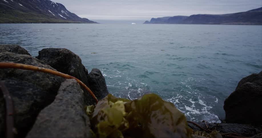 Sea waves splashing into a rocky shoreline as the camera moves past seaweed and kelp revealing a large melting iceberg in the background