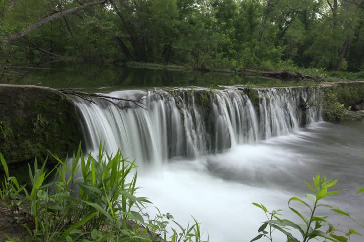 A waterfall in a forest