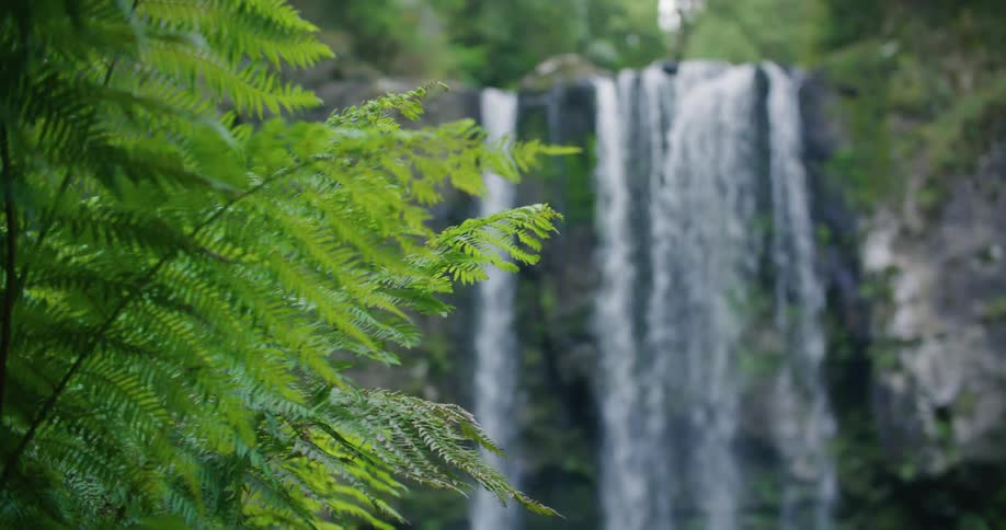 A waterfall in a tropical area is displayed