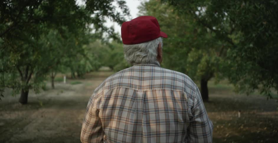 A man walks down a dirt road lined with trees