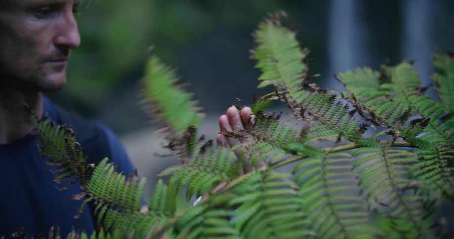 Blonde hiker examines dried edges of frond with waterfall in the background