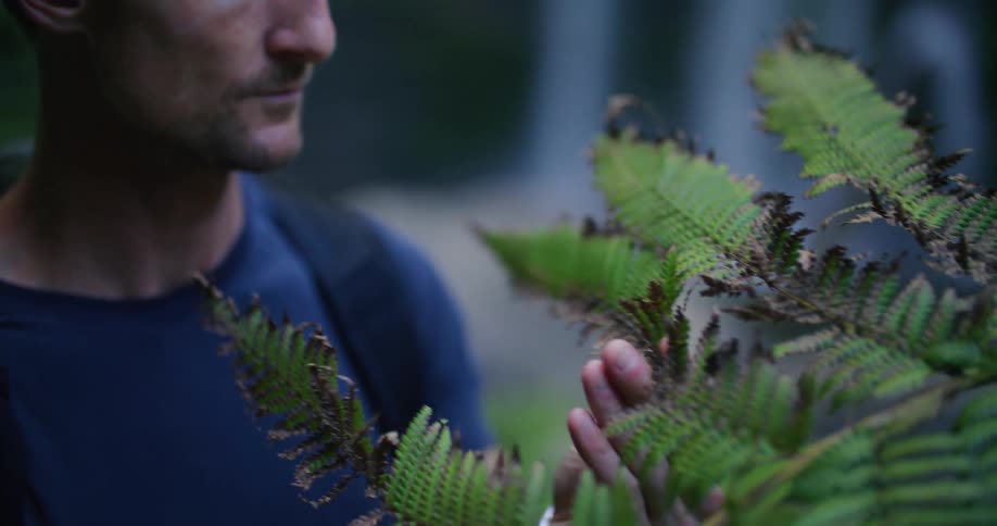 Man wearing backpack stops to examine browning leaves near waterfall