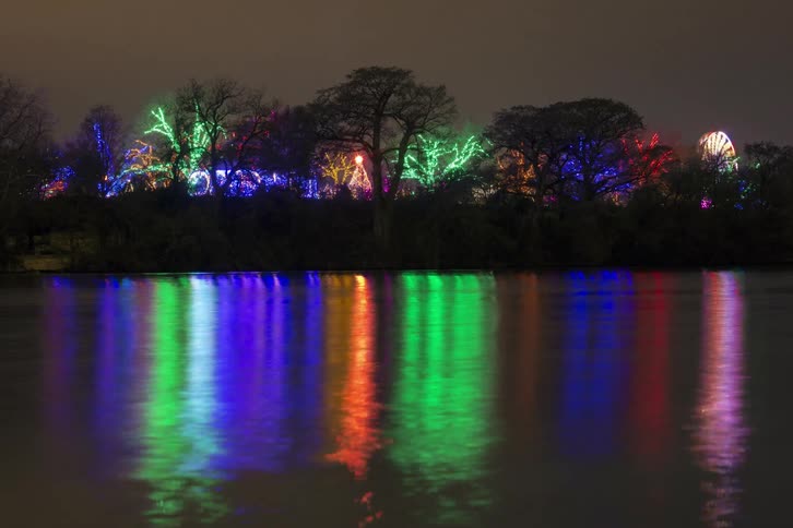 Multi-colored lights illuminate the night and reflect off the water at a carnival
