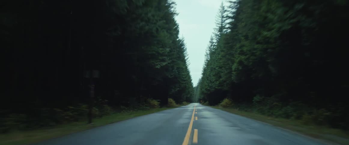 A car driving on a road between a forest