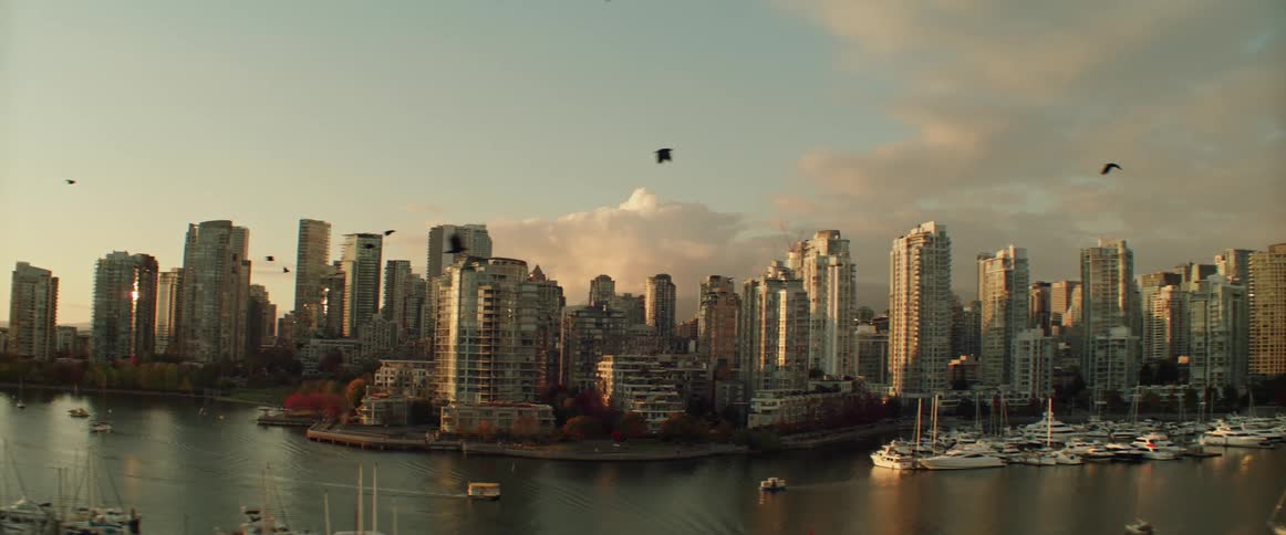 Vancouver city along the coast with tall buildings and skyscrapers high in a cloudy sky as birds fly over the water