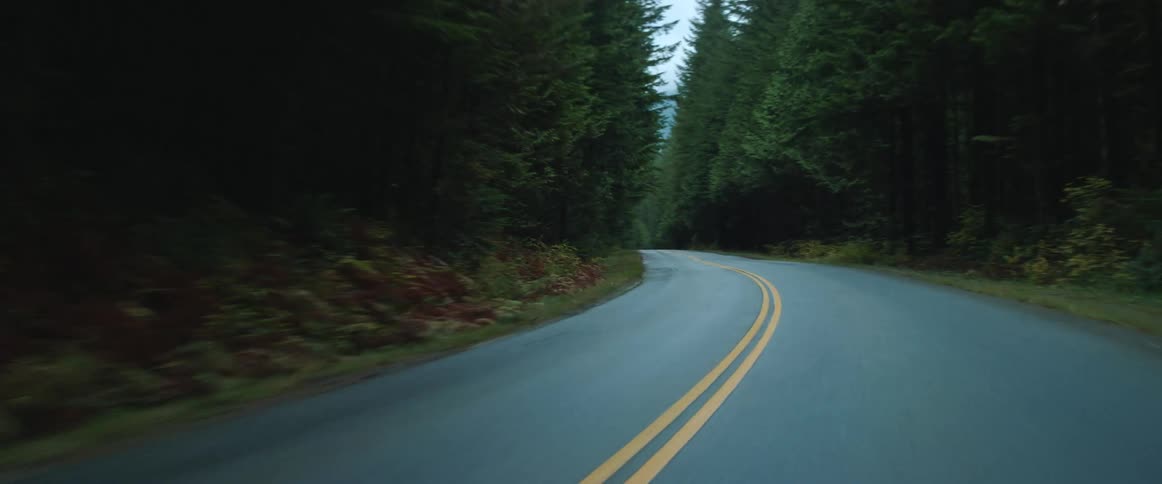 Vehicle drives on highway through green forest