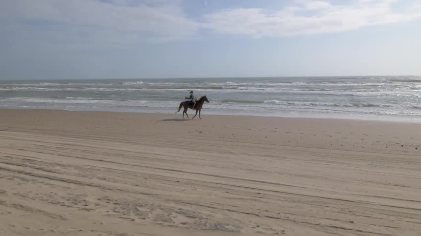 A woman riding a horse along the beach