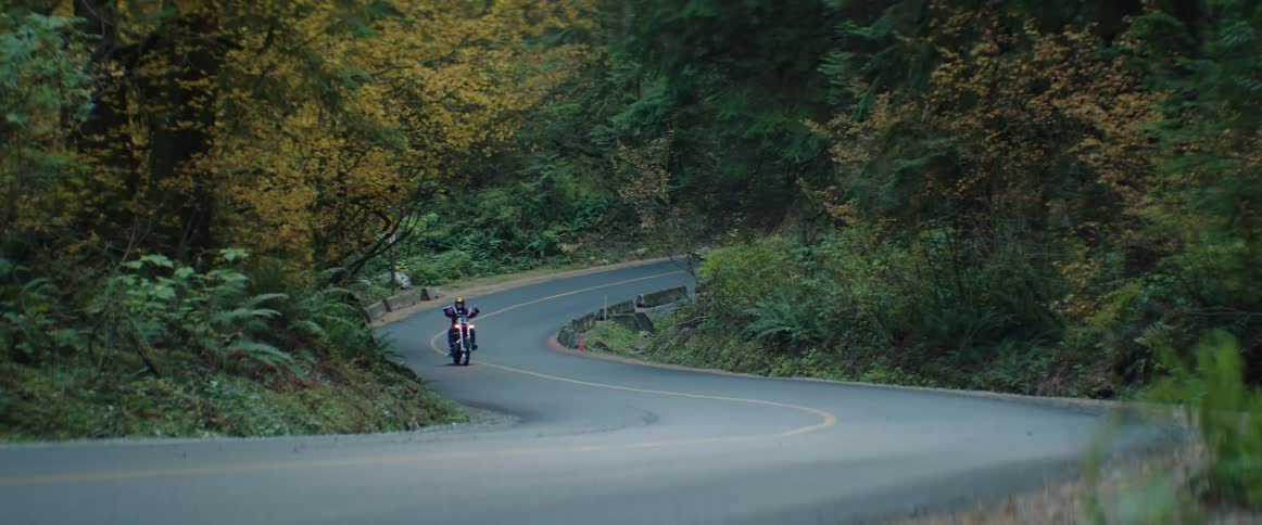 A motorcyclist traveling on a winding road surrounded by trees