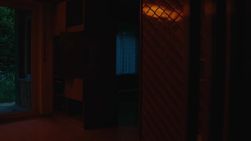 Light shines through the curtains in a dark room as outside plants are seen though the door