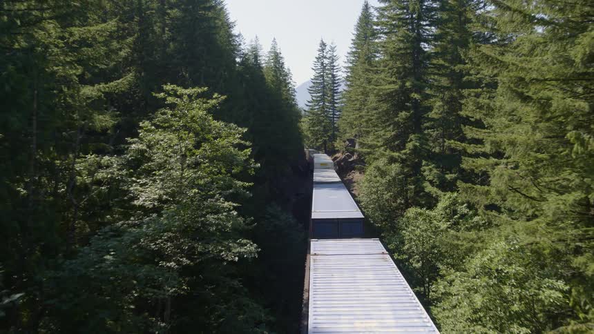 Double stacked containers on a train are moving through a heavily forested area