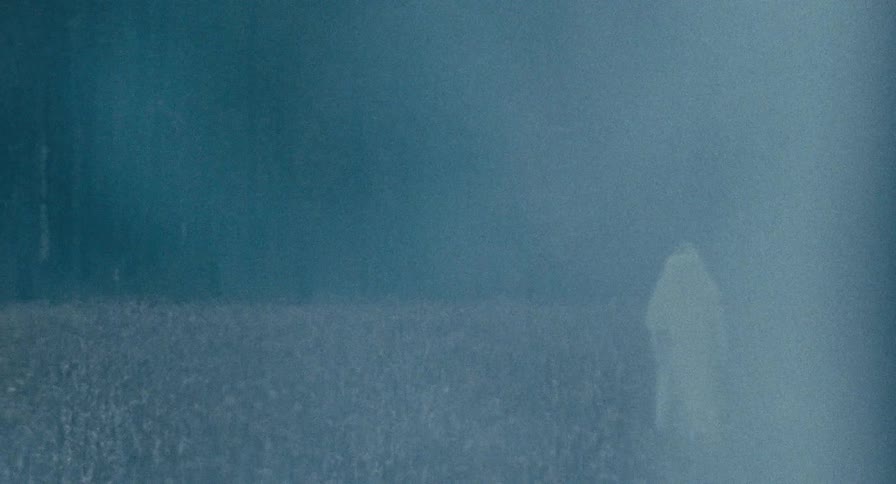 A ghostly woman walks through a field with fog