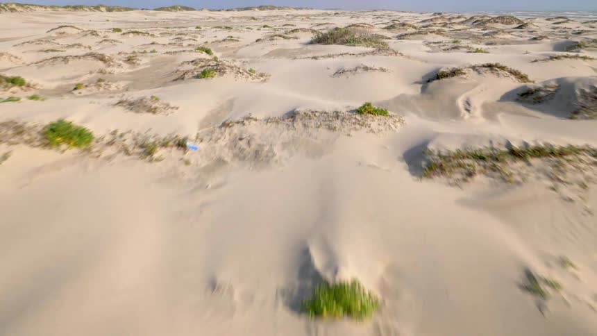Travelling over bushes and plants that are buried under snow
