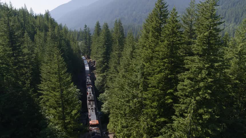 A train with shipping containers winds its way through a mountain forest