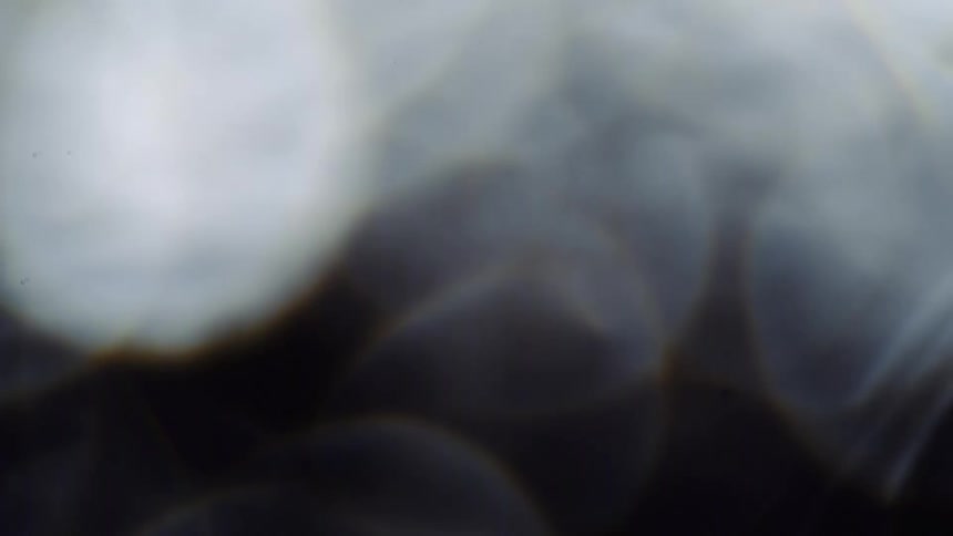Ripples flow across surface of gray water reflecting pale circular shape as bird passes