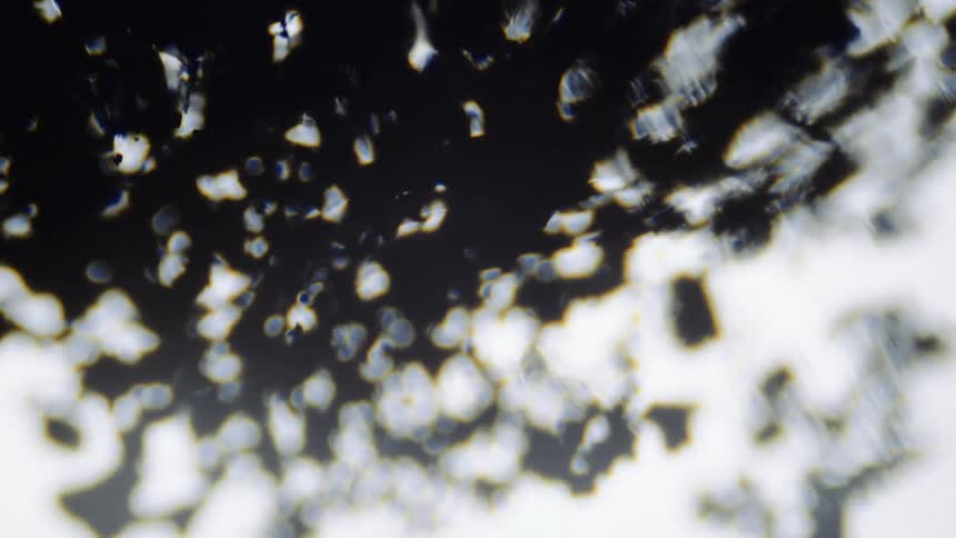 Gray objects move through a thin substance over illuminated white shapes