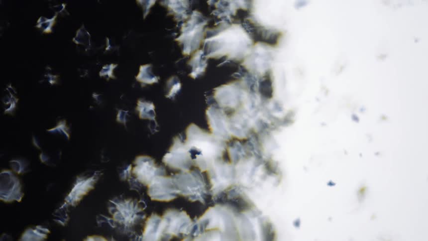 Particles move across dark and light areas