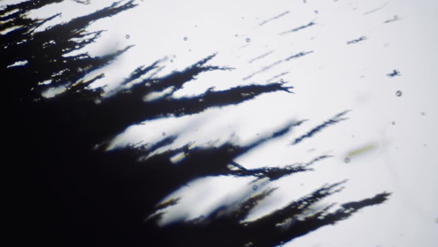 Blurry out of focus footage of the silhouette of branch like forms waving in the wind