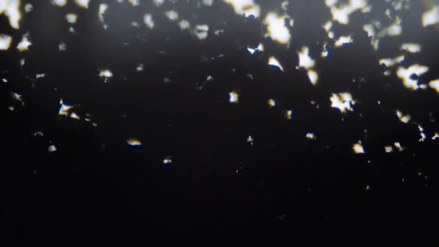 The camera focuses out of the void