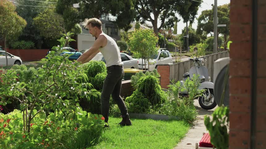 Young man pushes a lawnmower on the front yard of his house at daytime