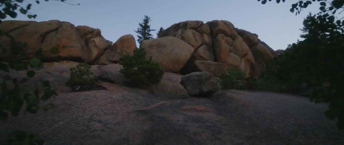 Trees and large boulders in nature at dawn