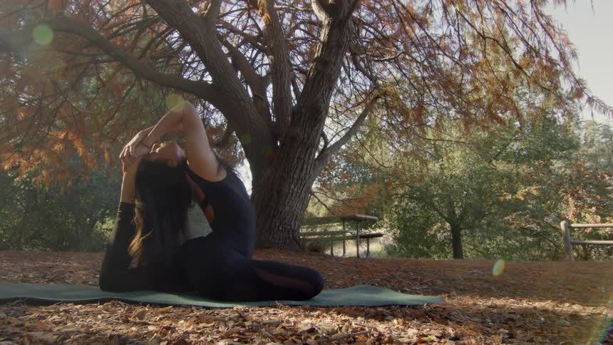 A woman is doing yoga under a tree losing its leaves near a lake