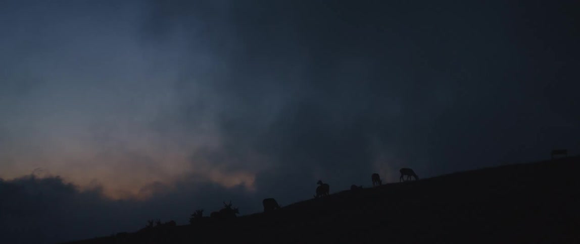 A herd of animals is grazing on the side of a mountain