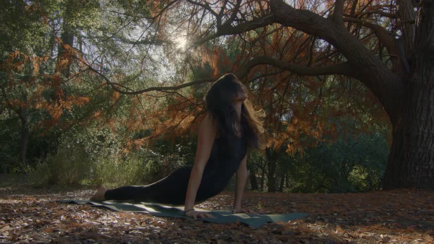 A woman doing yoga on a mat outdoors under a tall tree