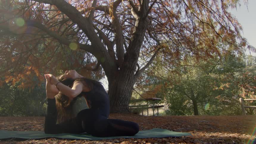 A woman doing yoga beneath a large tree with autumn foliage