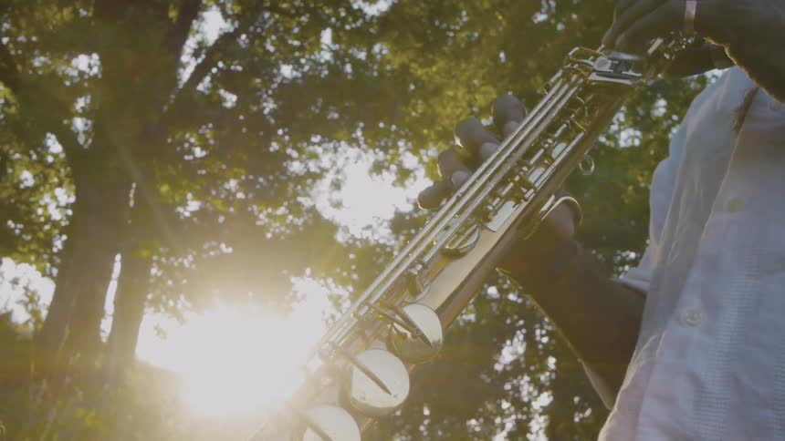 A person is playing a musical instrument on a sunny day