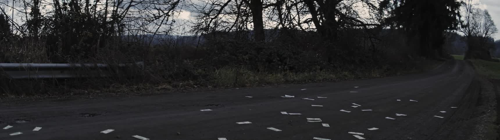 Dollar bills blowing around on a road near a guardrail