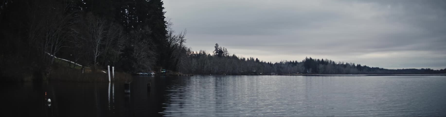 Pine tree forest surrounding a calm lake at evening