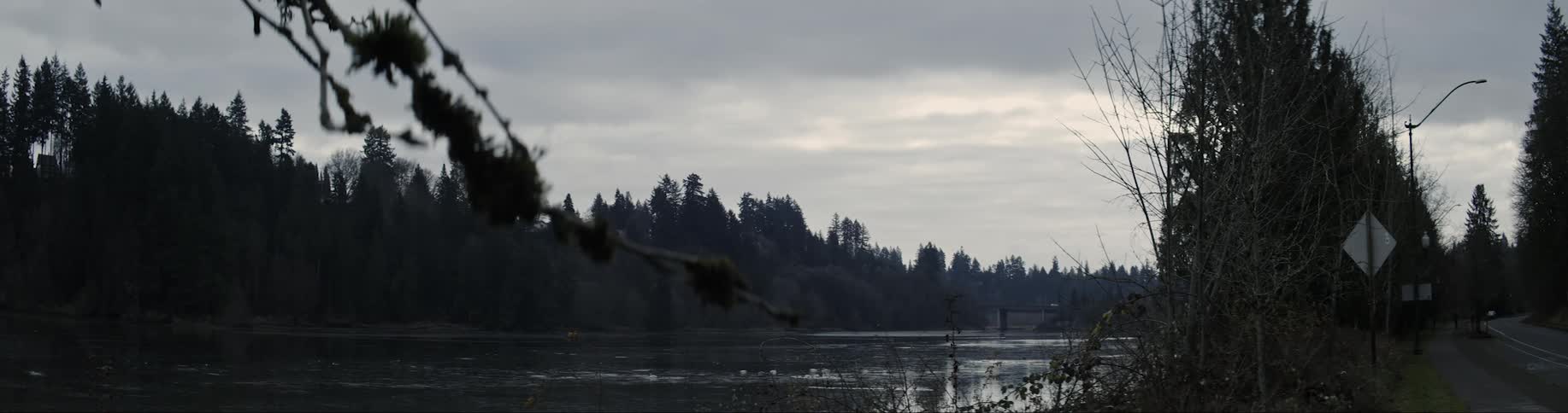 A silhouette of a treeline surrounding a lake of water with cars in the very far distance