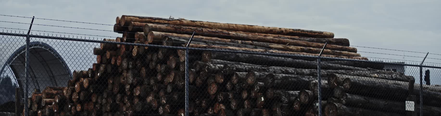 A still shot of wood logs near an electric fence