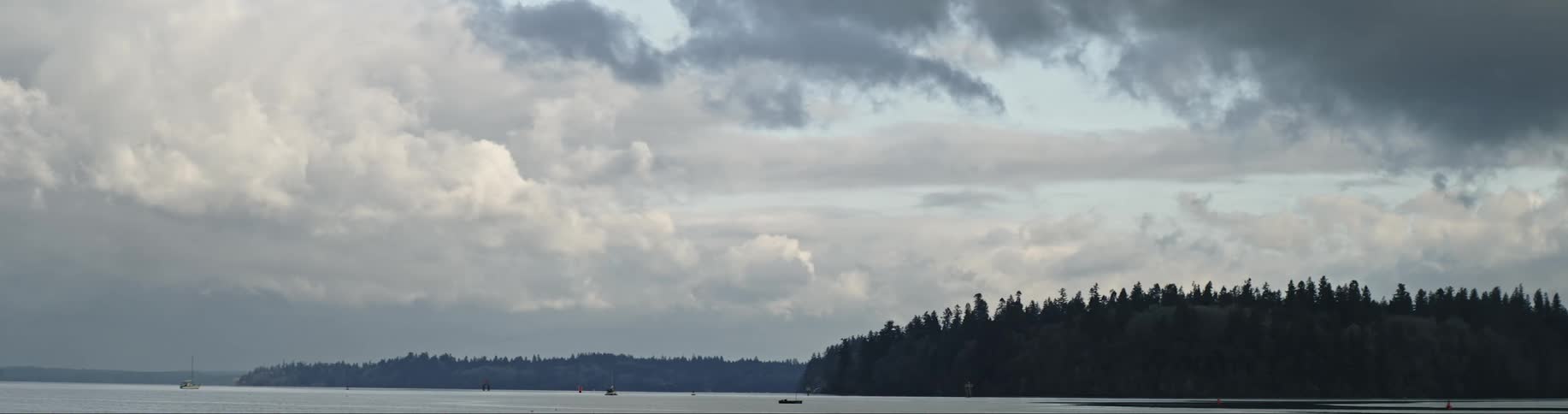 A body of water with pine trees in the distance against a white cloudy sky