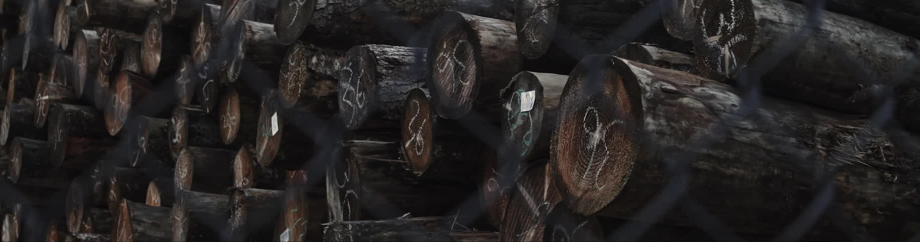 Ends of wood logs stacked on top of each other behind a fence
