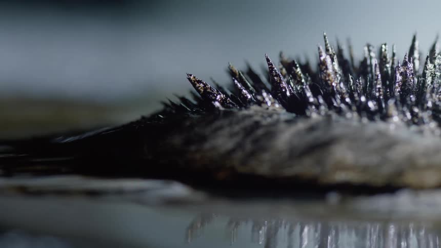 A black spiky textured surface