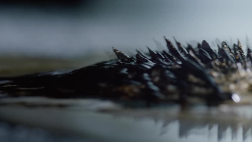 Magnetic black spikes moving on a surface
