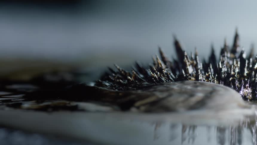 Shiny silver spikes rise from an organic surface near water and moves as if its alive