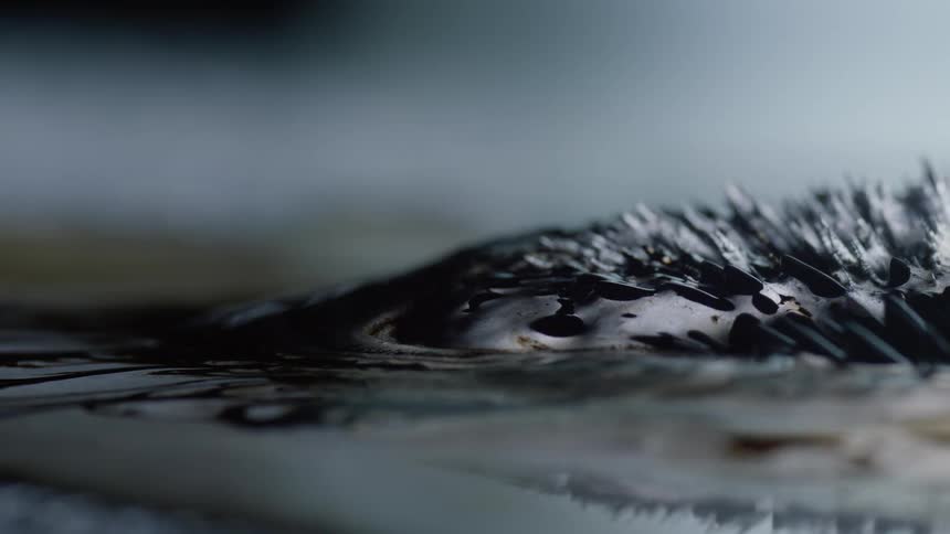 An abstract image of dark mounds