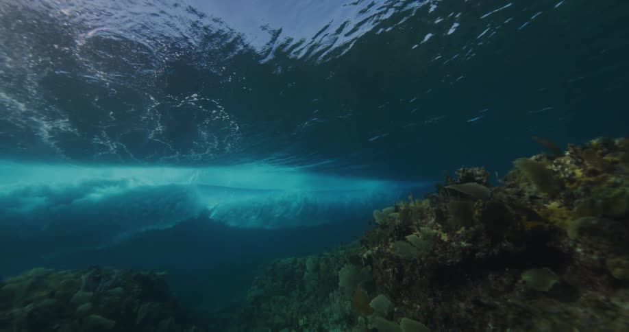 Sunlight reflects on bubbles and ripples as a wave moves over the surface and fish swim near the seabed